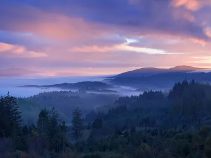 Morning Stillness Meditation