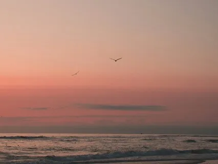 Morning Stillness: Start Your Day With Gratitude