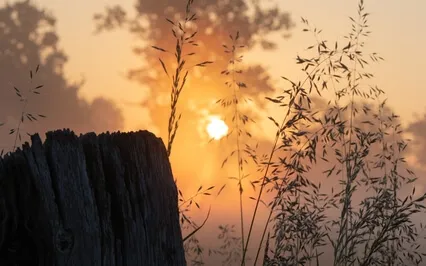 Morning Stoic Meditations: Living Each Day As Your Last 