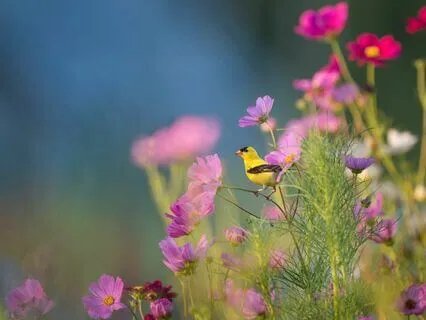 Morning Success And Empowerment Affirmation Meditation