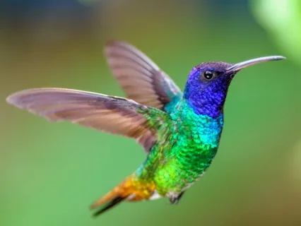 Morning Success Inspiring Affirmations