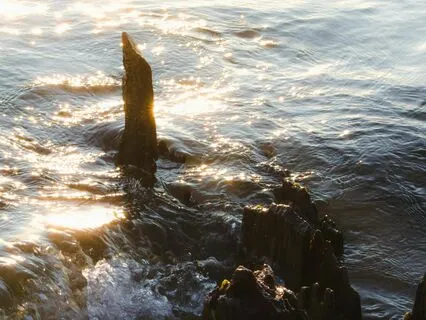 Morning Sun And Water Meditation For Power And Vitality