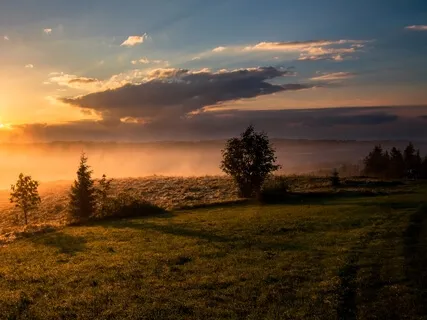 Morning Sun, Birds & Wind: Meditating Everything #2