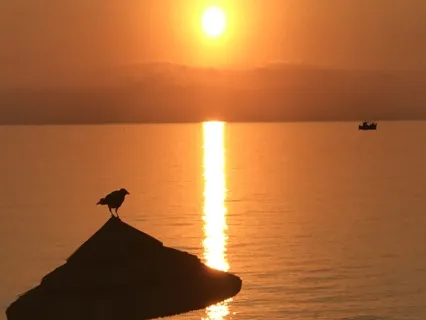 Morning Sun Meditation