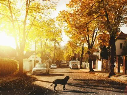 Morning Sun Rise (New Beginnings)