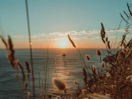 Morning Sunbeam Sankalpa: A Yoga Nidra Practice