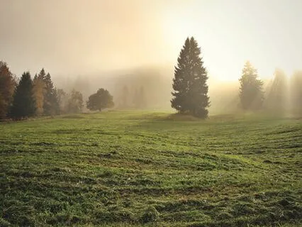 Morning Sunrise - Soft And Calming Ambient Nature Music