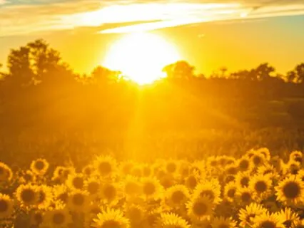 Morning Sunshine Meditation