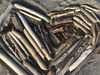 Morning Sweetness & Gratitude Practice