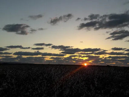 Morning Talk - Fast Booster 