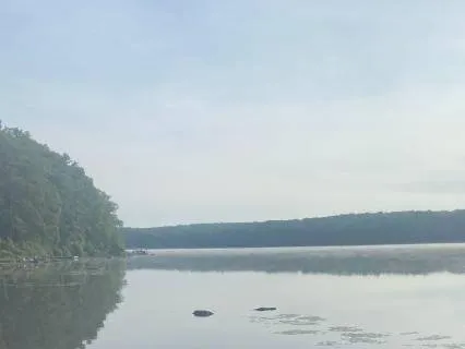 Morning Tapping Meditation For A Positive Day