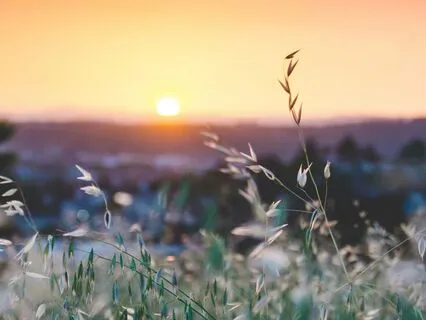 Morning Tapping To Feel Calm And Aligned - Extended