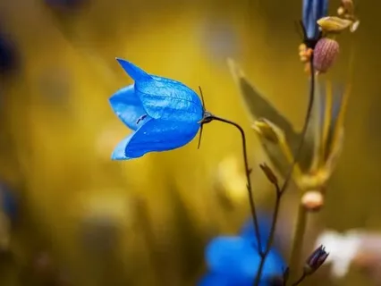 Morning Throat Chakra Affirmation Practice 