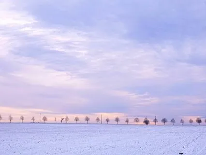 Morning Tibetan Singing Bowl At The Sea