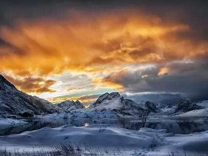 Morning Time Of Mind