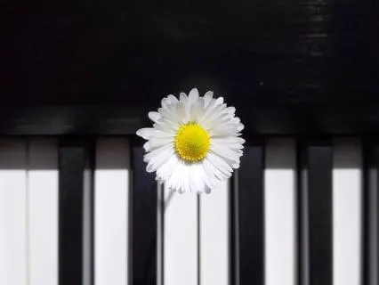 Morning Upbeat Groove: Start with a Clear Head