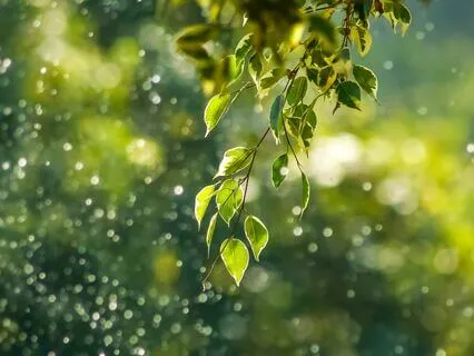 Morning Vitality-Infuser | Breathwork & Meditation | 22-mins