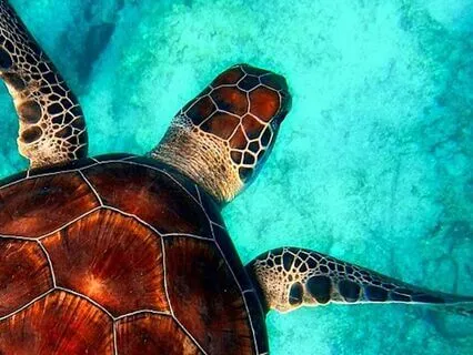 Morning Waves Crashing On Shore For Relaxation