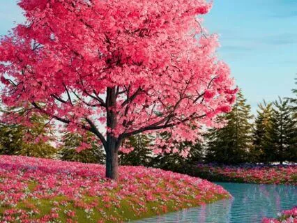 Morning Whispers Of The Heart: Embrace The Magic Of Your Day