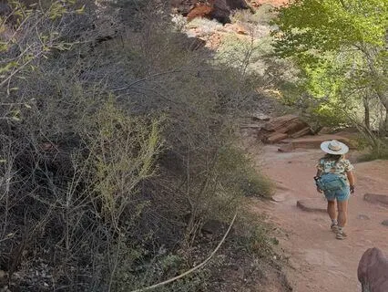 Morning Wonder Walk: Begin With Awe