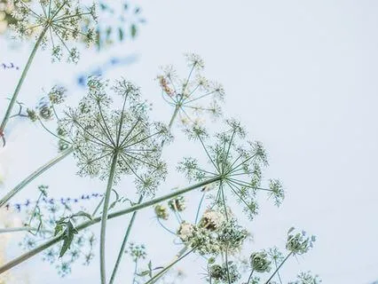 Morning Yoga Nidra: Calm Energy When You’re Tired