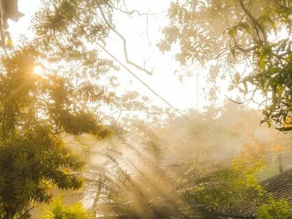 Morning Yoga Nidra | Wake Up Refreshed And Recharged