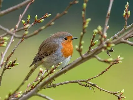 Morning Yoga Nidra For Positive Energy & Inner Peace