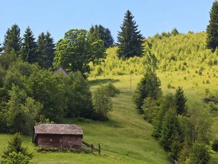 Morning Zen: Start Calm, Stay Calm