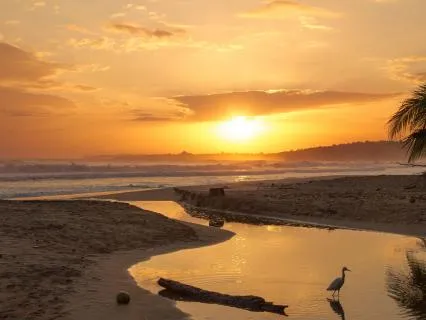 Morningspell: Sparkling Harp - Morning Music