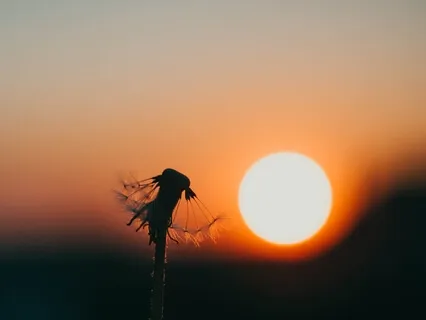 Expect Miracles This Morning