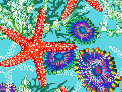 Морская Звезда