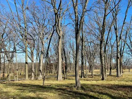 Morton Arboretum Bird Song