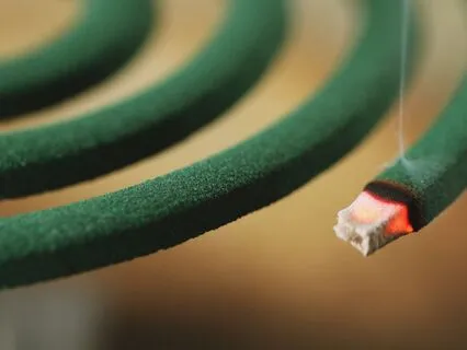 Mosquito Spirit: What Still Irritates The Soul