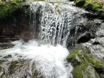 Mossy Waterfall Sleep Sounds - Slow Motion Video