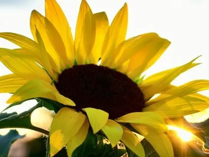 Most Empowered Version Of Me