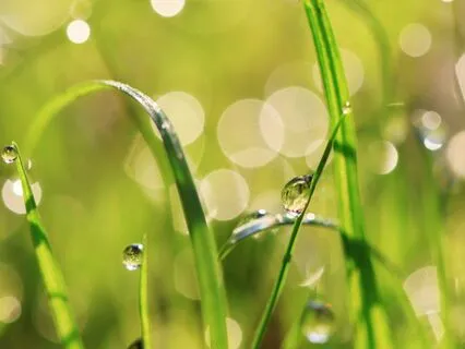 Most Gentle Rain Sounds