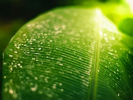 Most Relaxing & Healing (+ Rain & Rumbling Thunder ) • Sensory Meditation