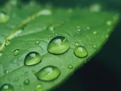 Relaxing Sound Of Rain And Distant Thunder For Deep Sleep