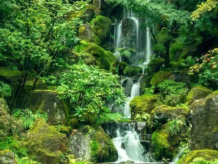 Most Relaxing Sound Of The Flowing Stream