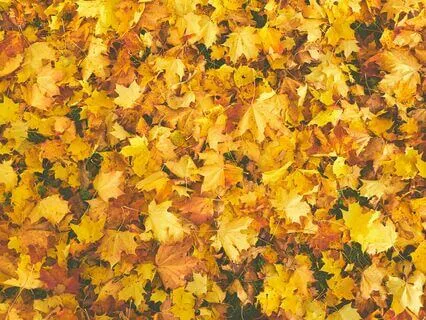 Mother - Ambient Bliss For Spa, Reiki & Massage | 432 Hz