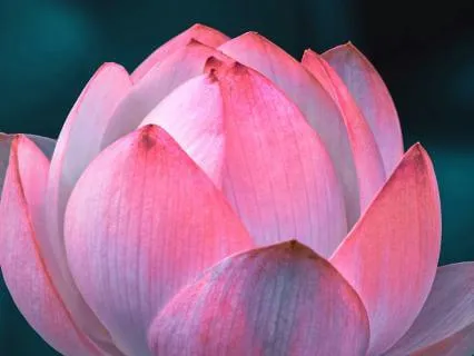 Mother Earth And Father Sky - A Heart Integration Meditation