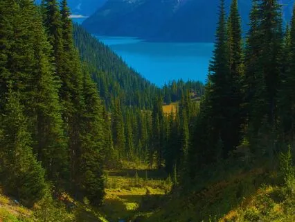 Mother Earth Appreciation Affirmations