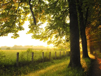 Mother Earth Grounding Meditation