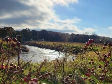 Mother Earth Morning Prayer Practice