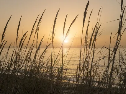 Mother Earth (Piano Music)