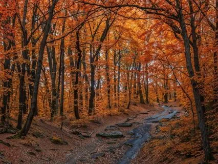 Mother Earth’s Embrace – Root Your Power