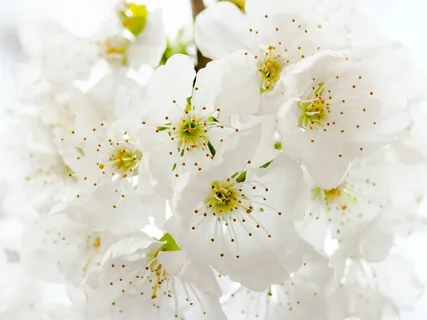 Mother Mary (Most Powerful) • Guided Meditation