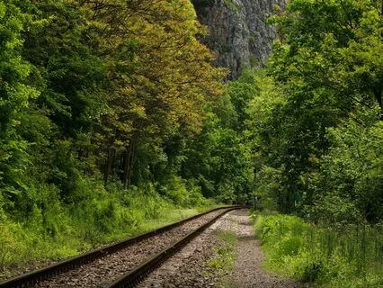 Mother Nature Relaxation and Grounding Meditation Practice