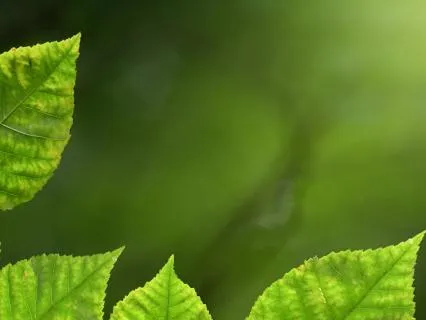 Mother Nature