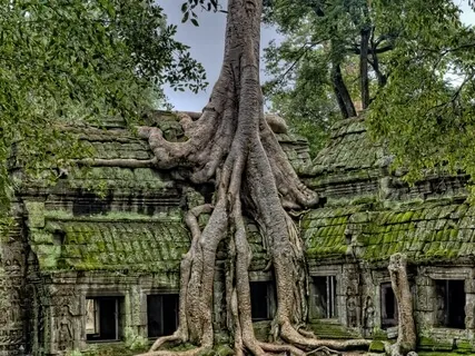 Contemplating Lao Tzu's "Mother of All Things"